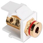 Leviton QuickPort Banana Jack Snap-In Connector, Red Stripe, White